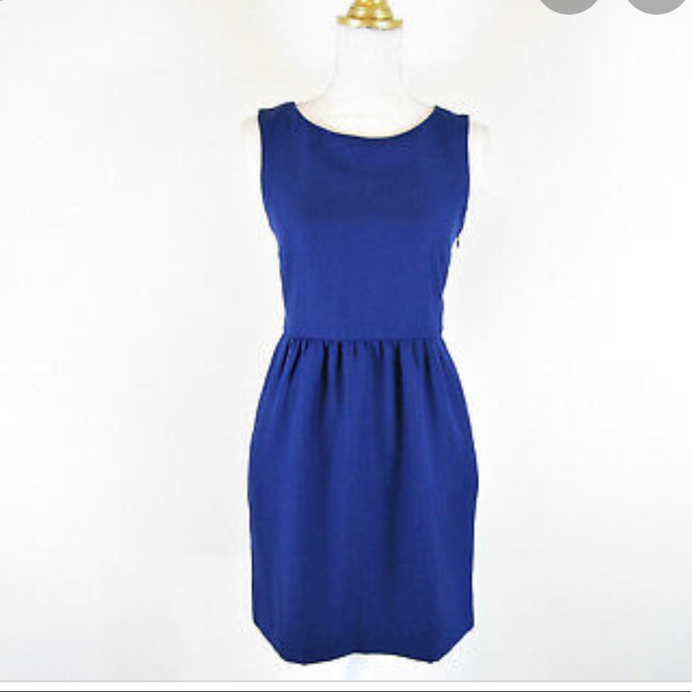 J. Crew Blue Dress